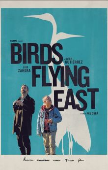 Birds Flying East